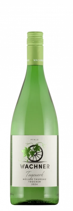2025 Müller Thurgau / Weingut Wachner / Offenbach an der Queich | &copy; Weingut Wachner