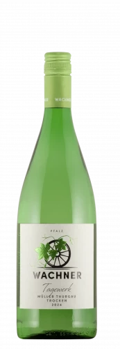 2025 Müller Thurgau / Weingut Wachner / Offenbach an der Queich | &copy; Weingut Wachner