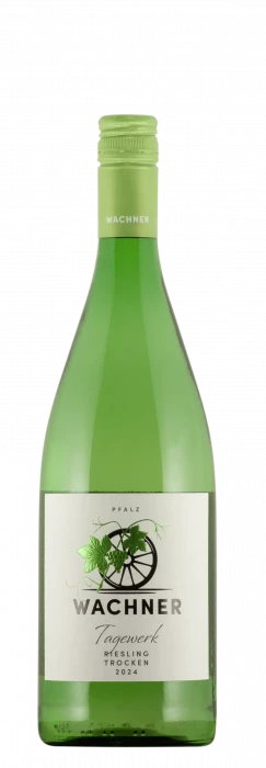 2024 Riesling / Weingut Wachner / Offenbach an der Queich | © Weingut Wachner