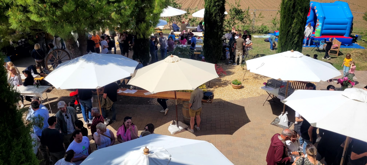 Bild | &copy; Weingut Wachner